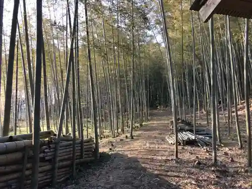 皇産靈神社の自然