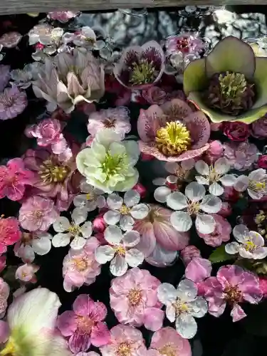 菅原神社の{uncategorized: "未分類", other: "その他", undefined: "問題あり", building: "その他建物", grave: "お墓", sacred_gate: "鳥居", guardian: "狛犬", statue: "像", buddha: "仏像", history: "歴史", nature: "自然", garden: "庭園", animal: "動物", pagoda: "塔", temizu: "手水舎", mountain_gate: "山門・神門", sanctuary: "本殿・本堂", subordinate: "末社・摂社", art: "芸術", scenery: "景色", jizo: "地蔵", ema: "絵馬", goshuin: "御朱印", omikuji: "おみくじ", items: "授与品その他", amulet: "お守り", goshuincho: "御朱印帳", eats: "食事", festival: "お祭り", votive_dance: "神楽", shichigosan: "七五三参", wedding: "結婚式", experience: "体験その他", initially: "初詣", around: "周辺", anti_infection: "感染症対策"}