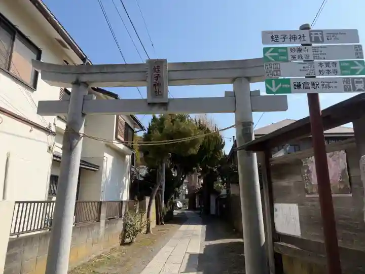 蛭子神社の{uncategorized: "未分類", other: "その他", undefined: "問題あり", building: "その他建物", grave: "お墓", sacred_gate: "鳥居", guardian: "狛犬", statue: "像", buddha: "仏像", history: "歴史", nature: "自然", garden: "庭園", animal: "動物", pagoda: "塔", temizu: "手水舎", mountain_gate: "山門・神門", sanctuary: "本殿・本堂", subordinate: "末社・摂社", art: "芸術", scenery: "景色", jizo: "地蔵", ema: "絵馬", goshuin: "御朱印", omikuji: "おみくじ", items: "授与品その他", amulet: "お守り", goshuincho: "御朱印帳", eats: "食事", festival: "お祭り", votive_dance: "神楽", shichigosan: "七五三参", wedding: "結婚式", experience: "体験その他", initially: "初詣", around: "周辺", anti_infection: "感染症対策"}