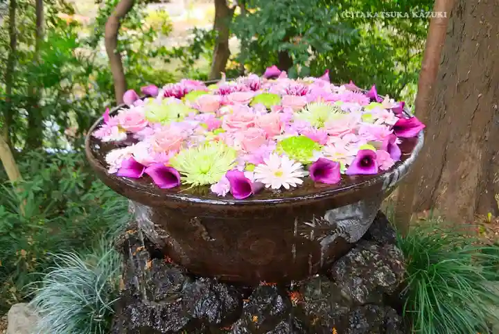 武蔵一宮氷川神社(埼玉県)