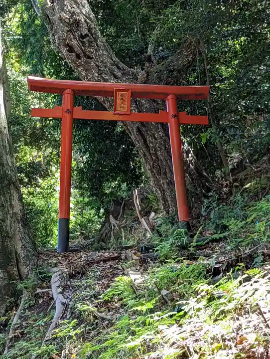 松尾大社(京都府)