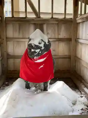 亀戸天神社の狛犬