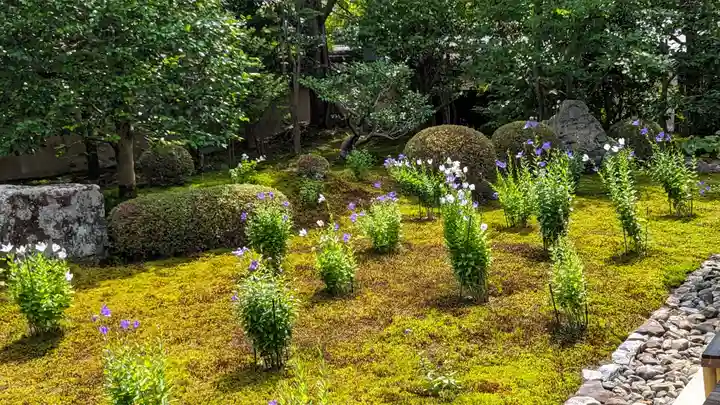 天得院(京都府)