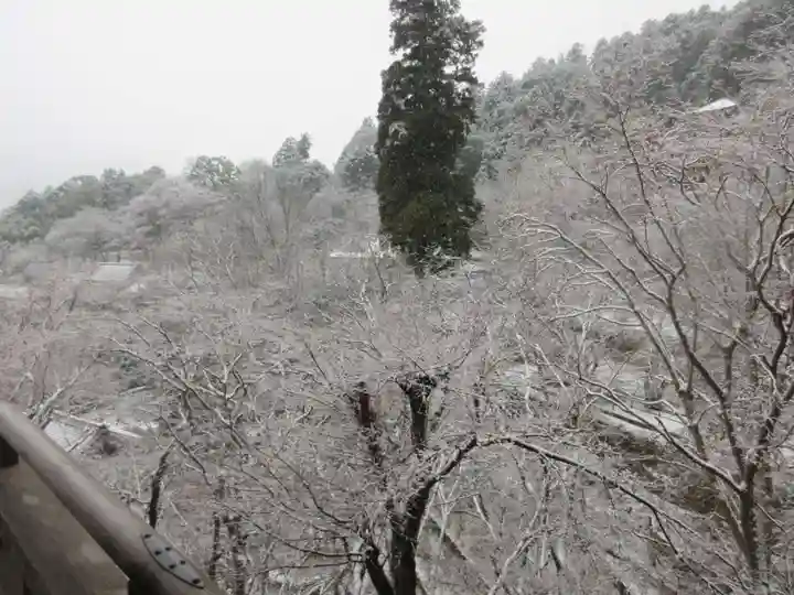 長谷寺(奈良県)