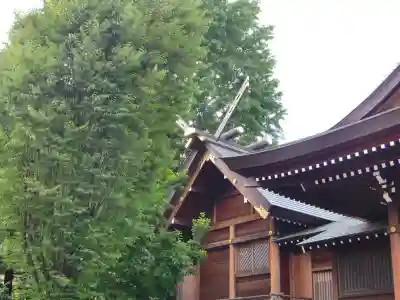 朝日氷川神社(埼玉県)