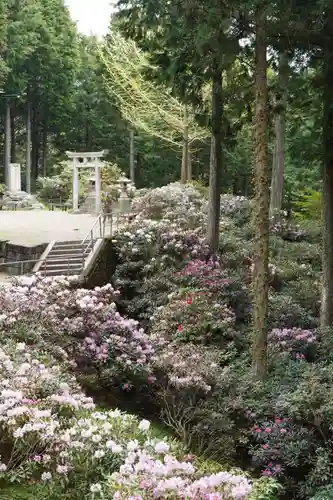 金刀比羅神社(奈良県)