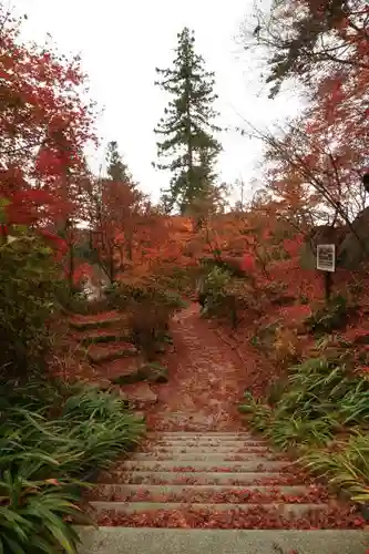 石都々古和気神社の自然