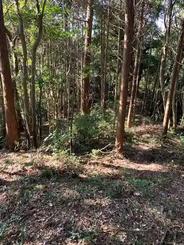 八坂神社の自然