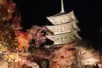 東寺(教王護国寺)(京都府)