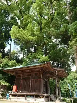 寺野薬師堂のその他建物