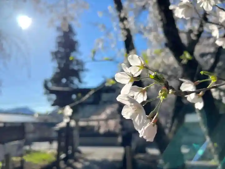山家神社の自然