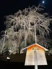 東寺（教王護国寺）(京都府)