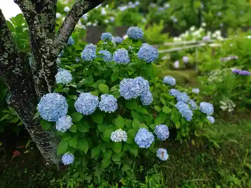 極楽寺(静岡県)