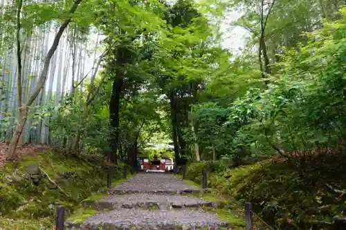 地蔵院(京都府)