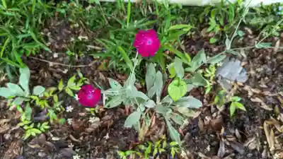 乗願寺(京都府)