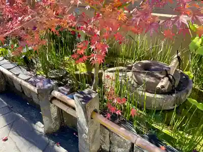 九品院(東京都)