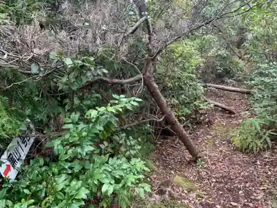 玉祖神社の自然