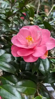 大豊神社(京都府)
