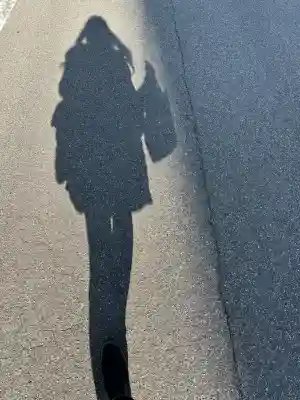 春日神社(徳島県)