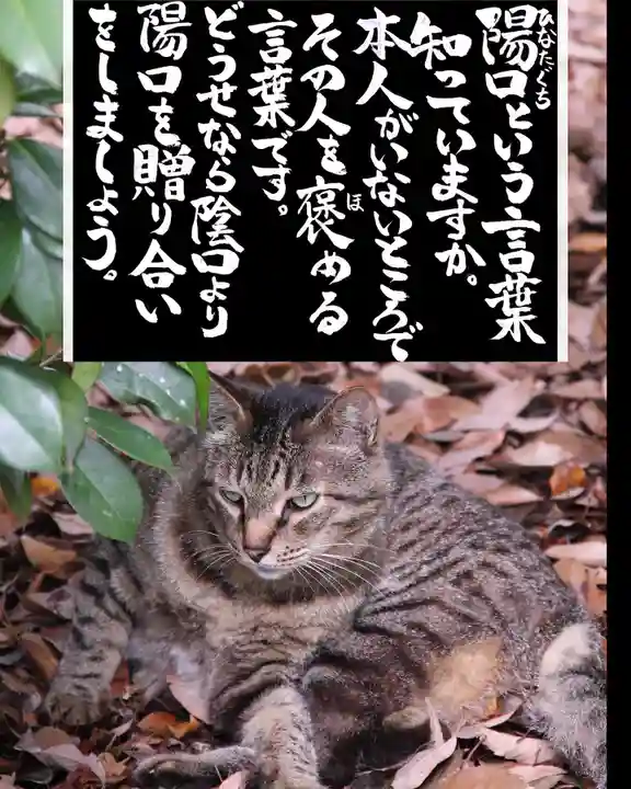 専念寺(大阪府)