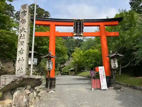 日吉大社の鳥居