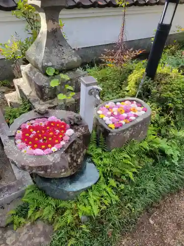 桂谷寺(兵庫県)