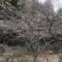 正宗寺(愛知県)