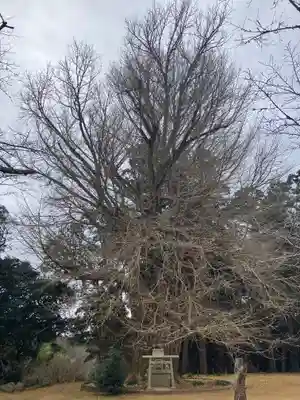 西蓮寺(茨城県)