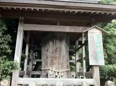 阿蘇神社のその他建物