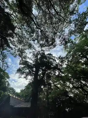 月夜見宮（豊受大神宮別宮）(三重県)