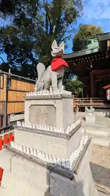 馬橋稲荷神社の狛犬