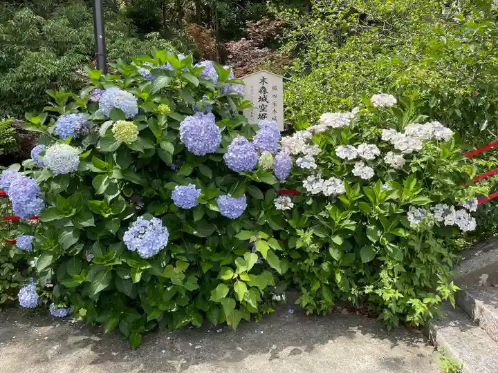 城山八幡宮の自然