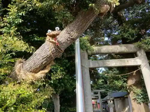 神明社(千葉県)