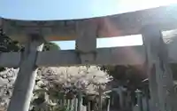 楯崎神社の鳥居