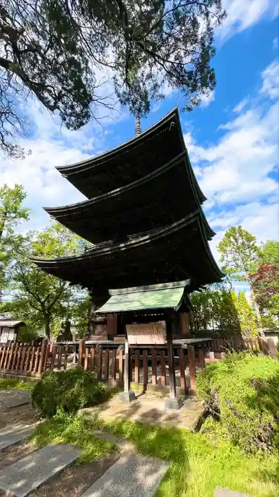 信濃國分寺(長野県)