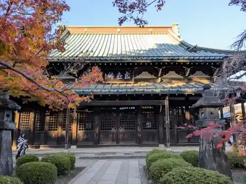 豪徳寺(東京都)