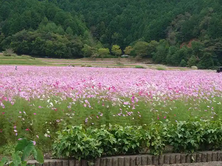 達身寺(兵庫県)