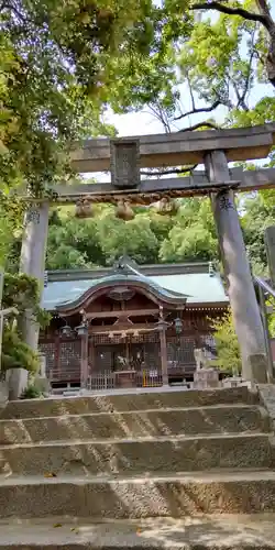 垂水神社の本殿