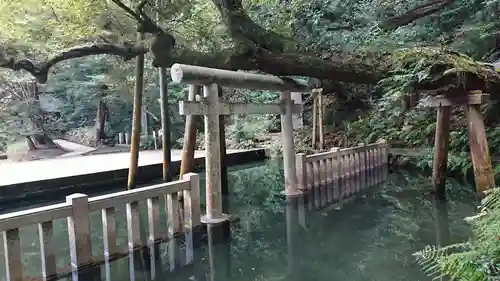 鹿島神宮の鳥居