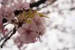 今戸神社(東京都)