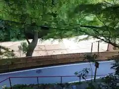 貴船神社結社(京都府)