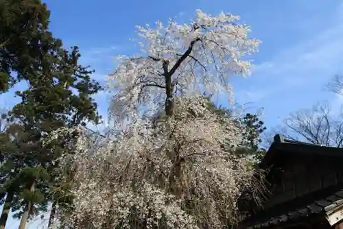 榊神社の庭園