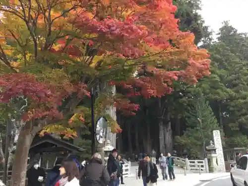 高野山金剛峯寺(和歌山県)