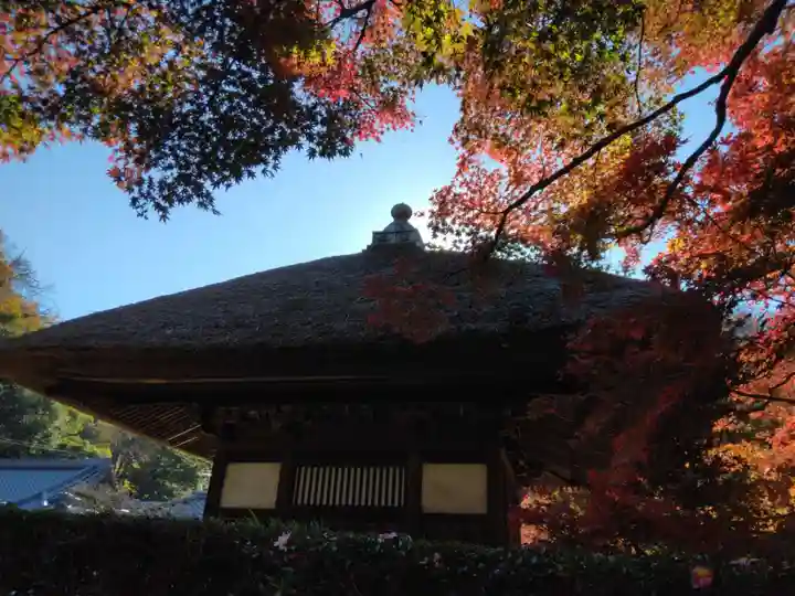 長壽寺(長寿寺)(神奈川県)