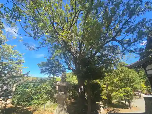 伊太祁曽神社(和歌山県)