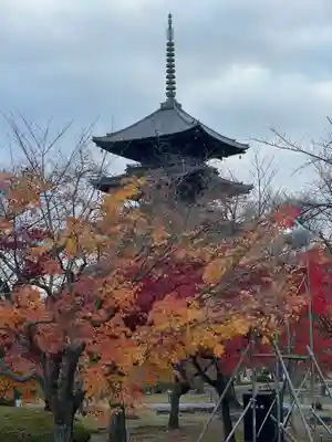 東寺（教王護国寺）(京都府)