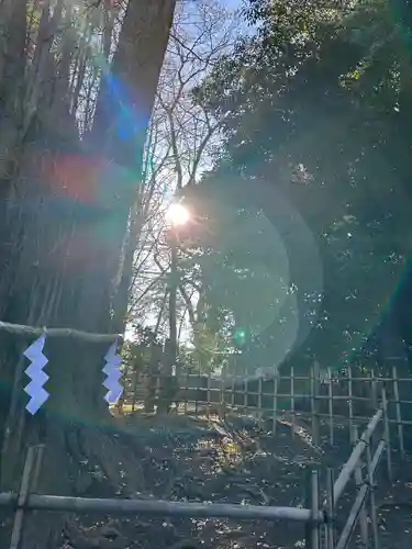 大國魂神社(東京都)