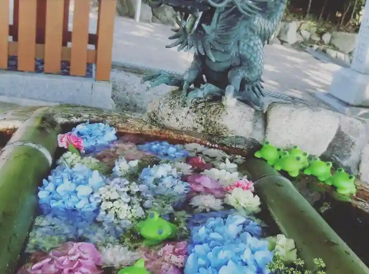 立志神社の手水舎