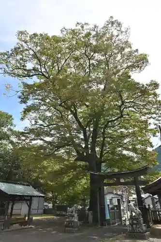医家神社(徳島県)