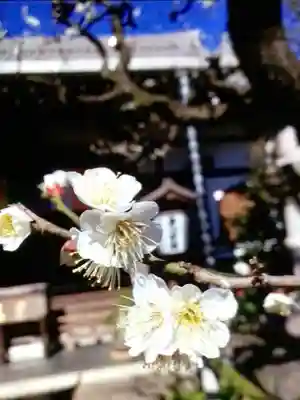 常性寺(東京都)